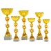4931 C - Standard Cup